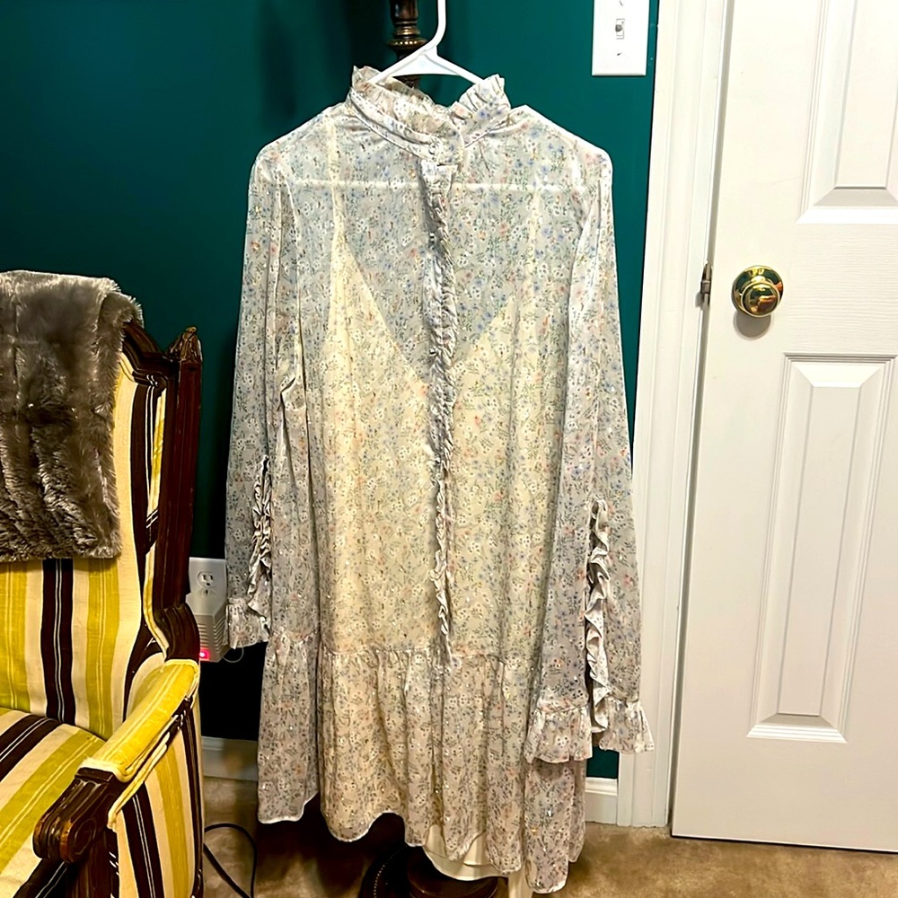 Gorgeous sheer dress with lining